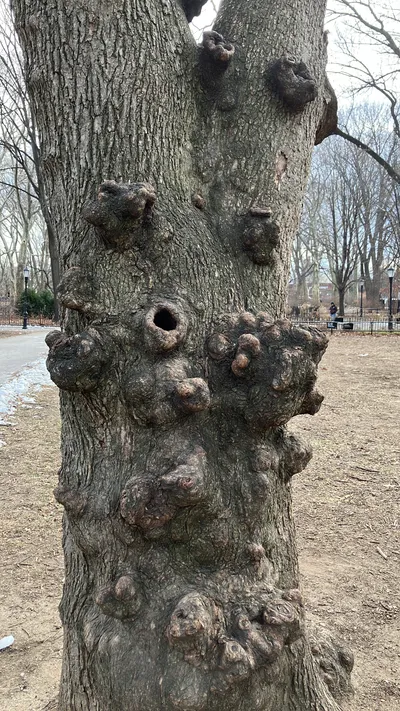 E9513847 3FB4 4D40 A7B1 64E446A25DBB