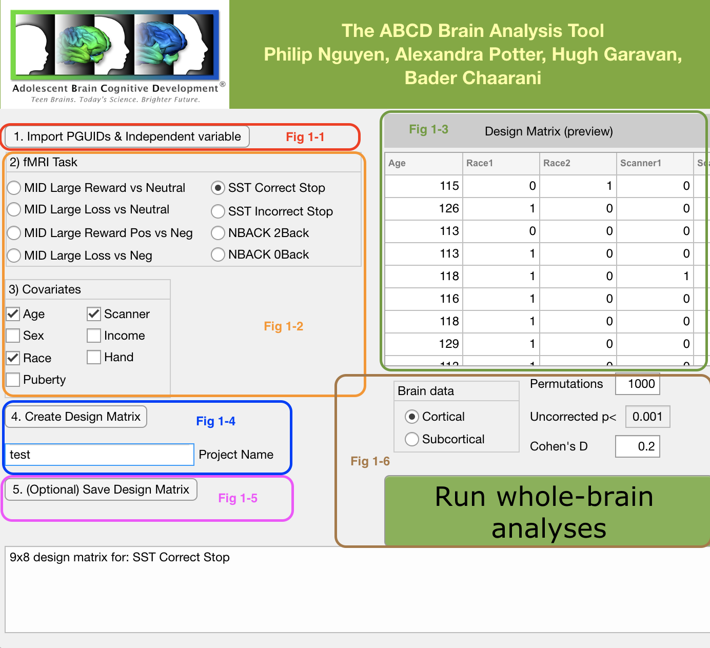 Preview for ABCD Brain Analysis Tool